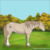 Horse Color:Smoky Creme Tobiano 