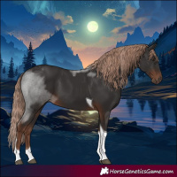 Horse Color:Liver Chestnut Tobiano 