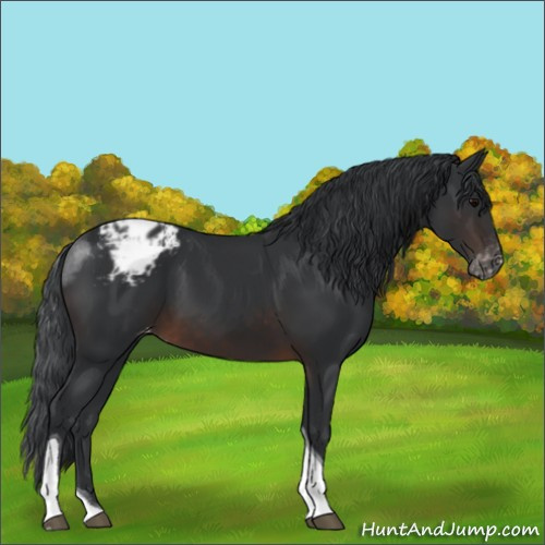 Horse Color:Brown Tobiano Varnish