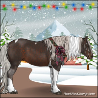 Horse Color:Silver Brown Tobiano 