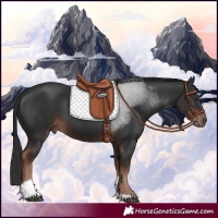 Horse Color:Liver Chestnut Tobiano 