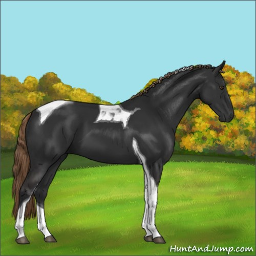 Horse Color:Liver Chestnut Tobiano 