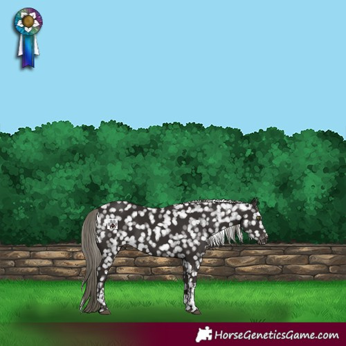 Horse Color:Liver Chestnut Mushroom Tobiano Snowflake Varnish 