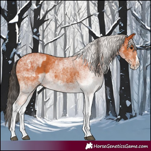Horse Color:White Spotted Bay Splash and White Spotted Silver Bay Splash