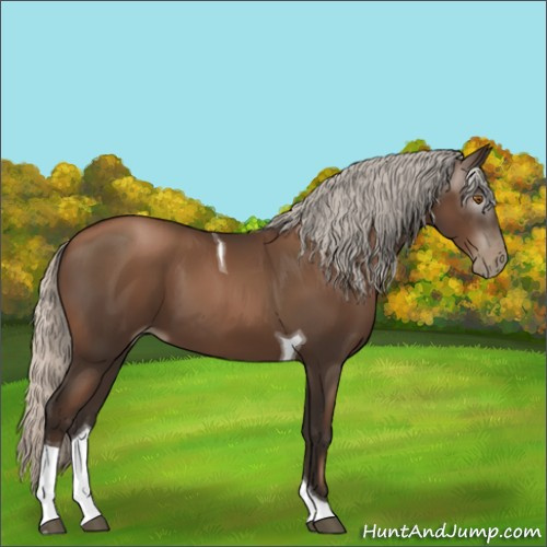 Horse Color:Gray Silver Black Pearl Tobiano