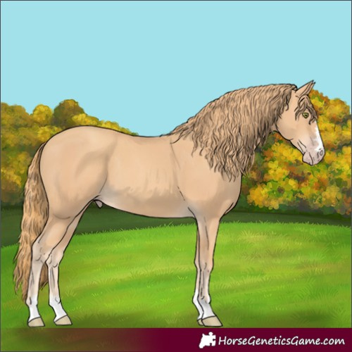 Horse Color:Gold Champagne