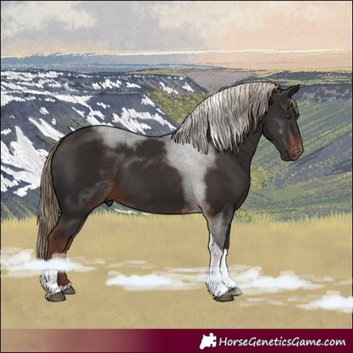 Horse Color:Liver Chestnut Tobiano 