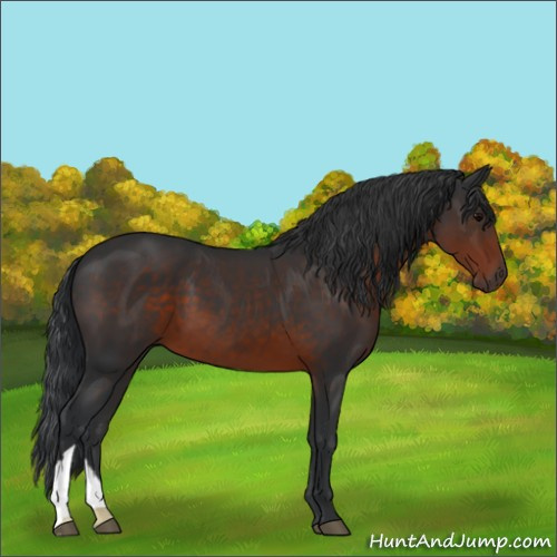 Horse Color:Brown 