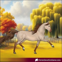 Horse Color:Red Dun 