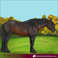 Horse Color:Brown 