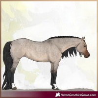 Horse Color:Brown Roan Dun 