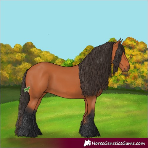 Horse Color:Bay Rabicano 