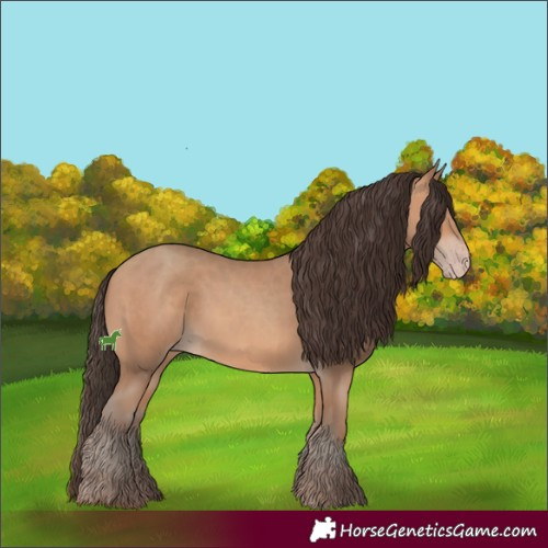 Horse Color:Amber Champagne 