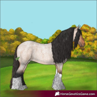 Horse Color:Bay Roan Dun Tobiano 