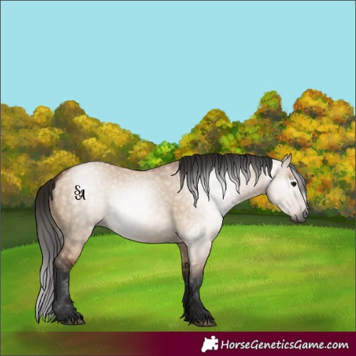 Horse Color:Gray Bay Dun