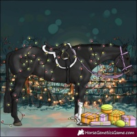 Horse Color:Gray Smoky Black 