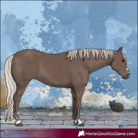 Horse Color:Silver Black 