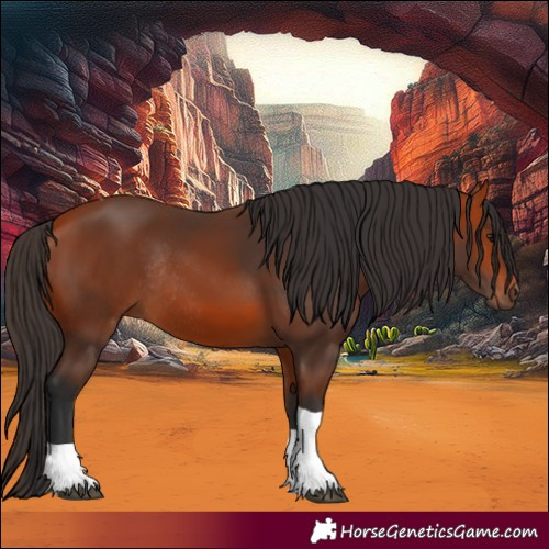 Horse Color:Bay Tobiano Rabicano 