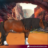 Horse Color:Bay Tobiano Rabicano 