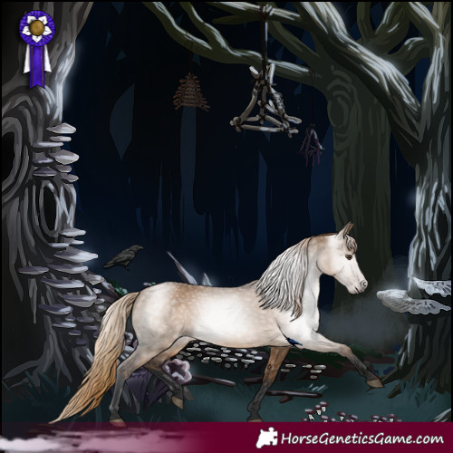 Horse Color:Gray Liver Red Dun 