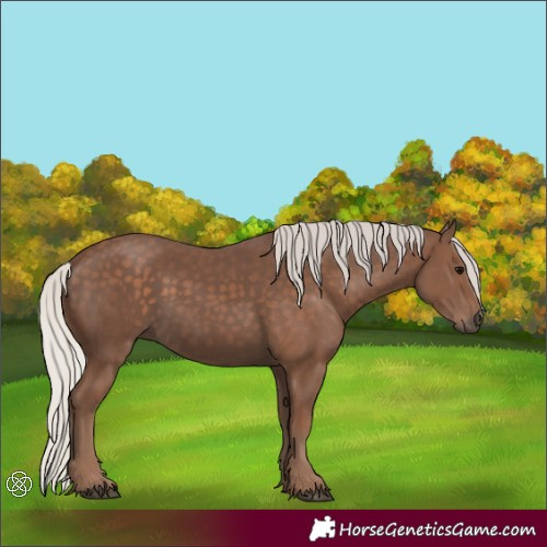Horse Color:Silver Black 
