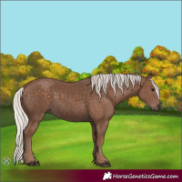 Horse Color:Silver Black 