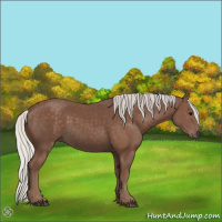Horse Color:Silver Black 