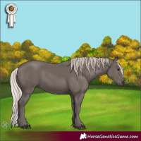 Horse Color:Silver Black 