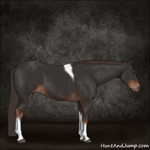 Horse Color:Liver Chestnut Tobiano 