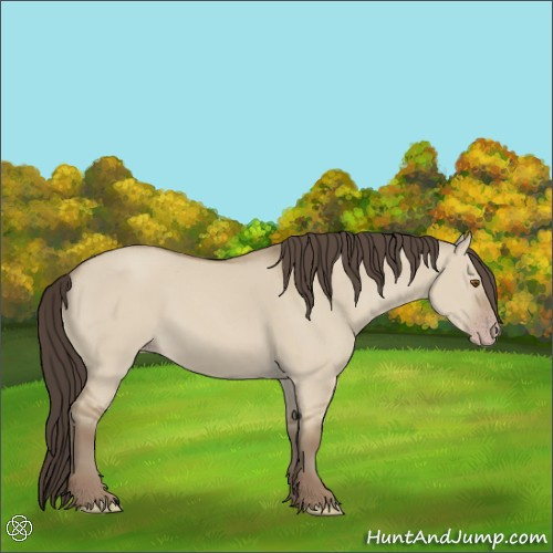 Horse Color:Classic Champagne Dun 