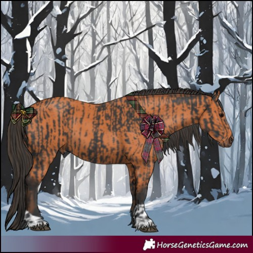 Horse Color:Black and Bay