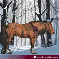 Horse Color:Black  and Bay 