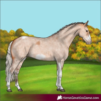 Horse Color:Silver Bay Dun Sabino Tobiano Frame Rabicano 