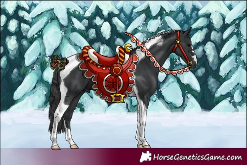 Horse Color:Black Tobiano 