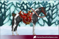 Horse Color:Black Tobiano 