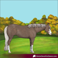 Horse Color:Silver Black 