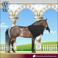Horse Color:White Spotted Brown Dun 