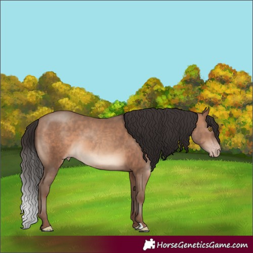 Horse Color:Sable Champagne 