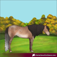 Horse Color:Sable Champagne 