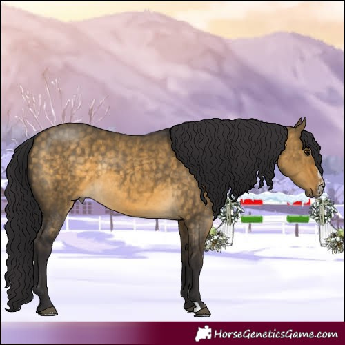 Horse Color:Buckskin Dun Sabino Rabicano Brindle 