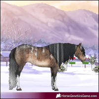 Horse Color:Powder White White Spotted Brown Dun Brindle