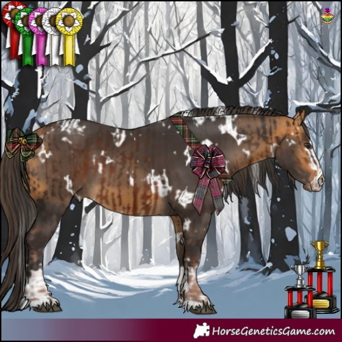 Horse Color:Liver Chestnut  and White Spotted Buckskin 