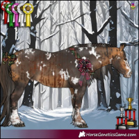 Horse Color:Liver Chestnut  and White Spotted Buckskin 