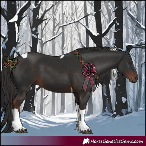 Horse Color:Liver Chestnut Tobiano