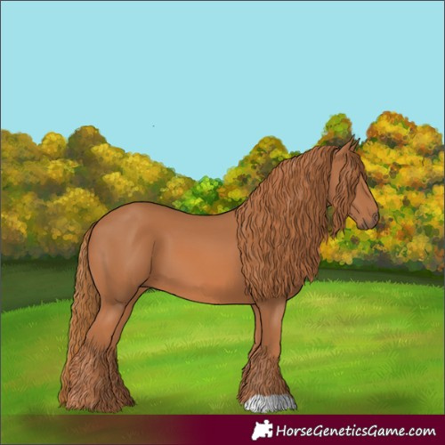 Horse Color:Chestnut 
