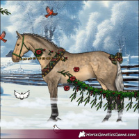 Horse Color:Silver Buckskin Dun 