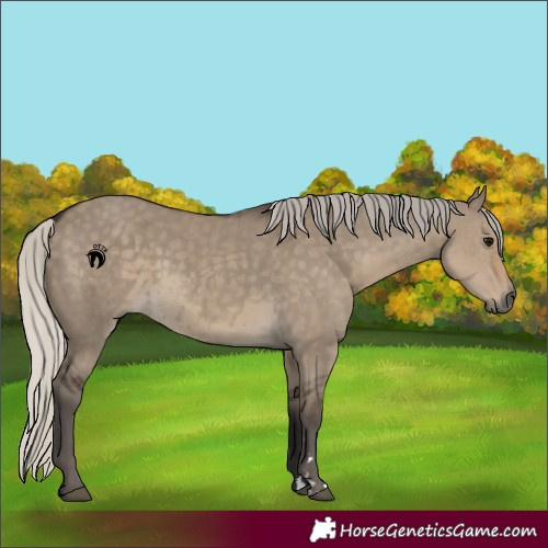 Horse Color:Silver Smoky Grullo 
