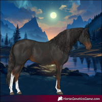 Horse Color:Liver Chestnut Tobiano 