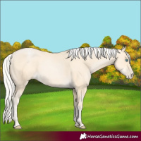 Horse Color:Silver Buckskin Pearl 