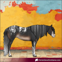 Horse Color:Powder White Brown 